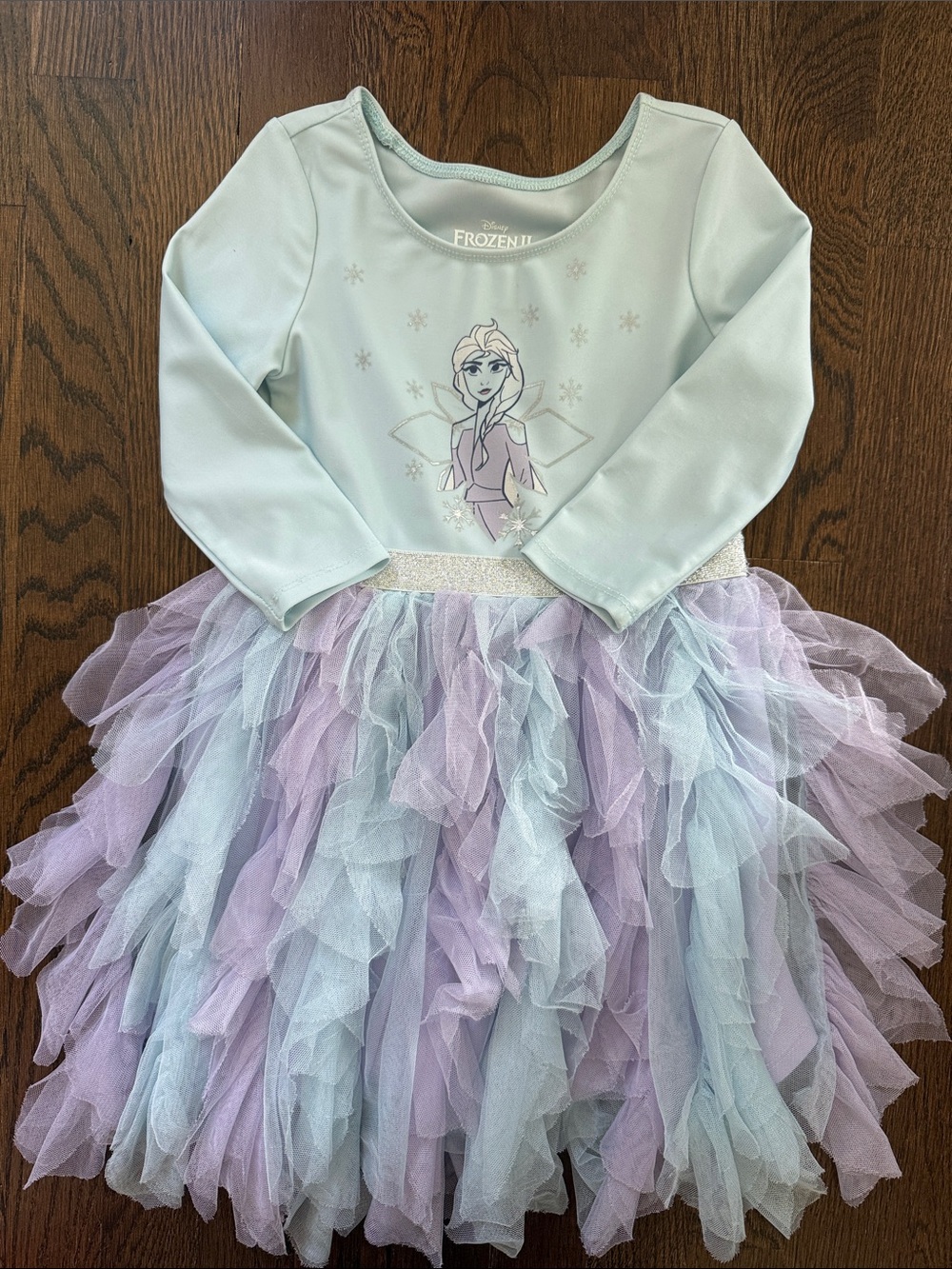 Girls 5T Elsa leotard tulle dress